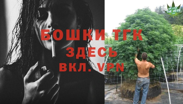 дживик Богородицк