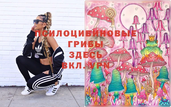 дживик Богородицк
