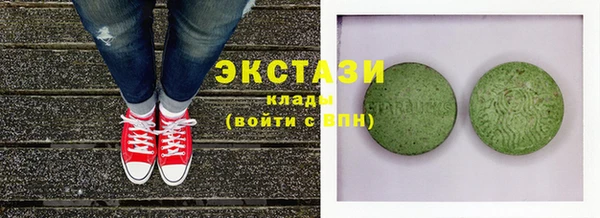 дживик Богородицк