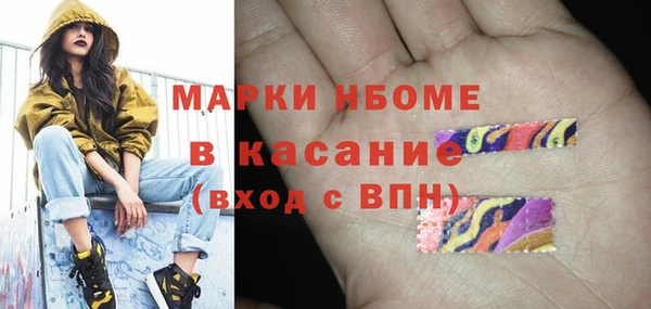 дживик Богородицк