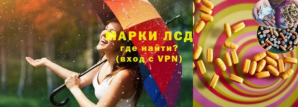дживик Богородицк