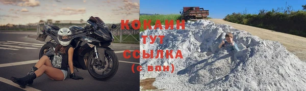 дживик Богородицк