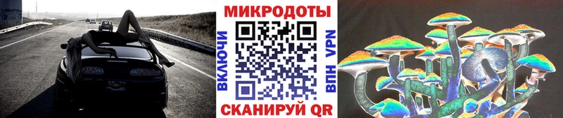 Галлюциногенные грибы мицелий  Дигора 